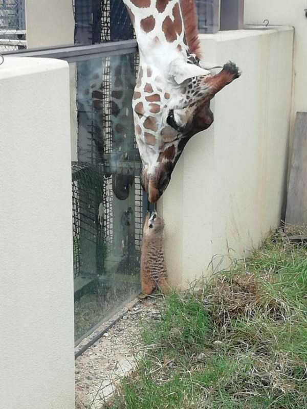 57 Nothing But Awesome Pics (57 photos)