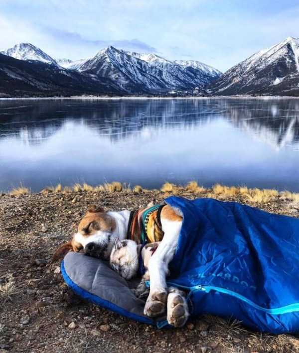 57 Nothing But Awesome Pics (57 photos)