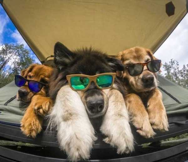 57 Nothing But Awesome Pics (57 photos)