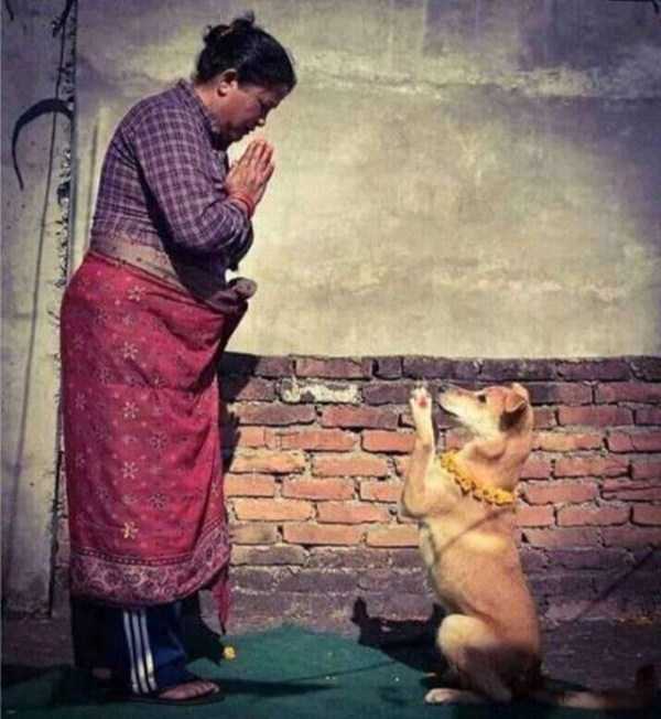 42 Nothing But Awesome Pics (42 photos)