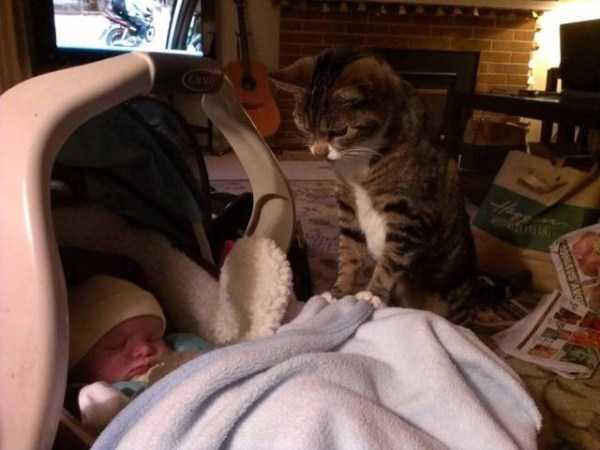 42 Nothing But Awesome Pics (42 photos)