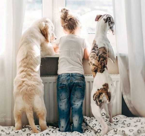 42 Nothing But Awesome Pics (42 photos)