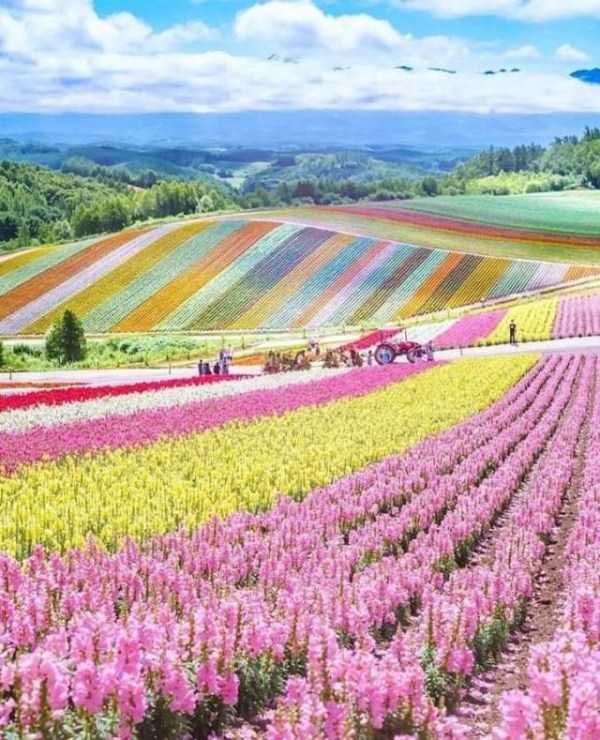 42 Nothing But Awesome Pics (42 photos)