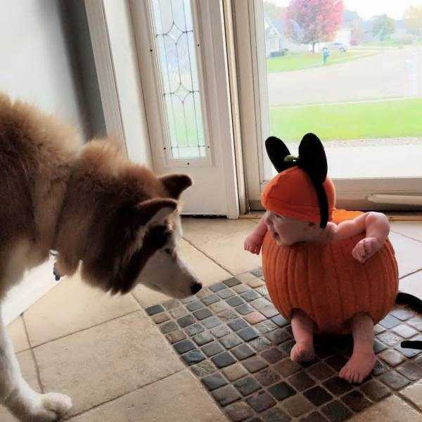 42 Nothing But Awesome Pics (42 photos)