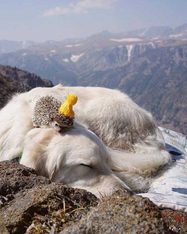 42 Nothing But Awesome Pics (42 photos)