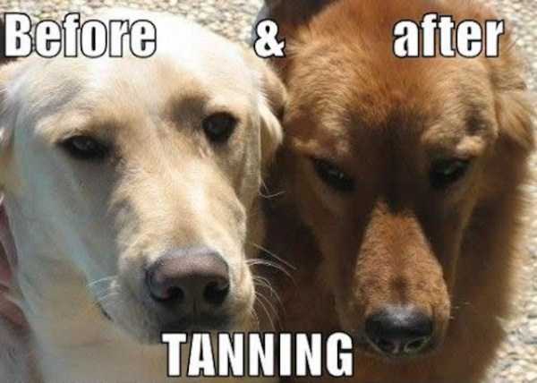 32 Funny Before And After Photos
