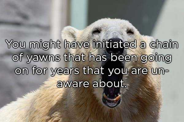60 More Deep Shower Thoughts (60 photos)