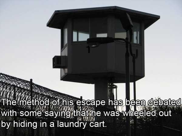 27 Interesting Facts About Notorious El Chapo (27 photos)