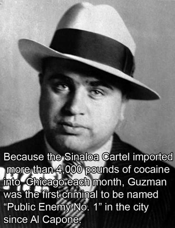 27 Interesting Facts About Notorious El Chapo (27 photos)