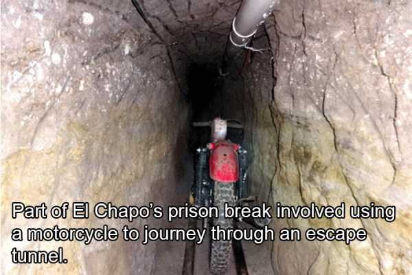27 Interesting Facts About Notorious El Chapo (27 photos)