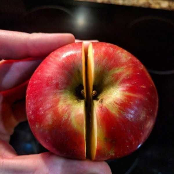 72 Pictures That Every Perfectionist Will Appreciate (72 photos)