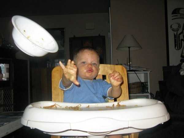 68 Perfectly Timed Photos