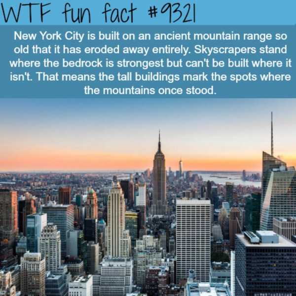 It’s Time For Some Cool And Interesting Facts – Part 74 (66 photos)