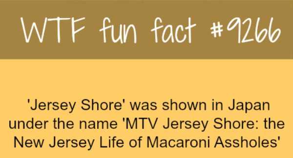 It’s Time For Some Cool And Interesting Facts – Part 73 (42 photos)