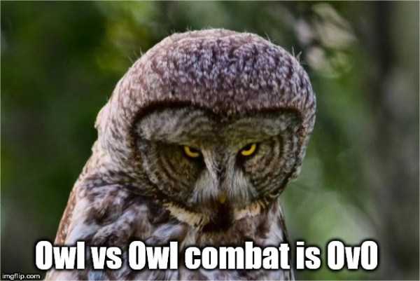 32 More Deep Shower Thoughts (32 photos)