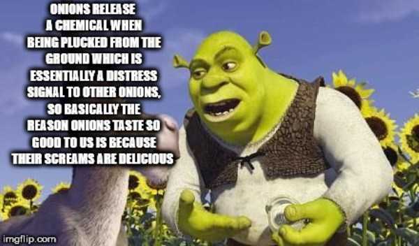 32 More Deep Shower Thoughts (32 photos)