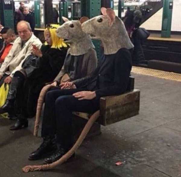 Meanwhile On Public Transportation (52 photos)