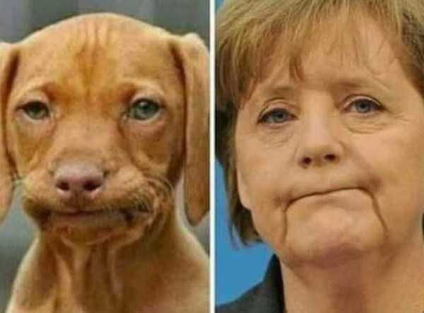 Klyker Picdump (88 photos)