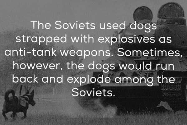 Odd History Facts 3 600x402 22 Quite Odd History Facts (22 photos)