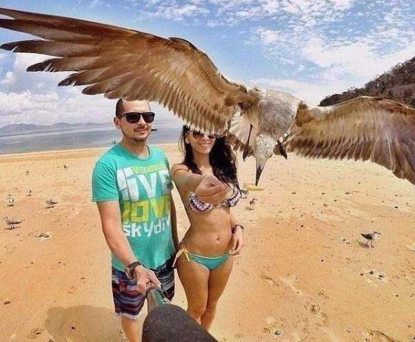 70 Nothing But Awesome Pics (70 photos)