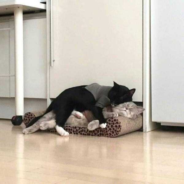 70 Nothing But Awesome Pics (70 photos)