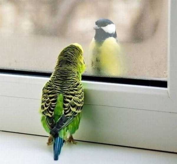 70 Nothing But Awesome Pics (70 photos)