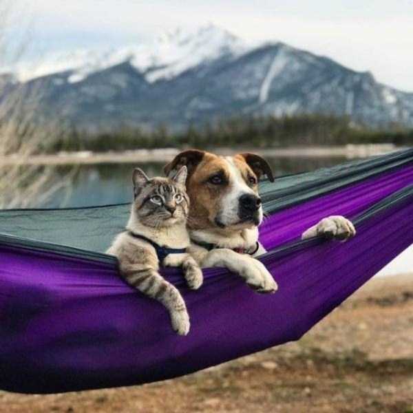 70 Nothing But Awesome Pics (70 photos)