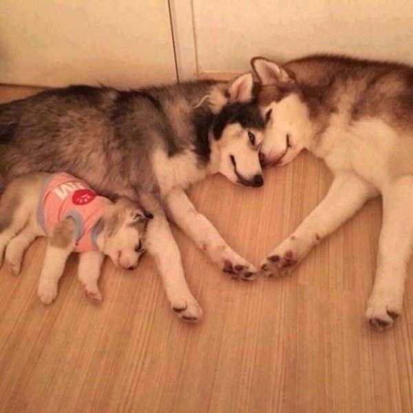 70 Nothing But Awesome Pics (70 photos)