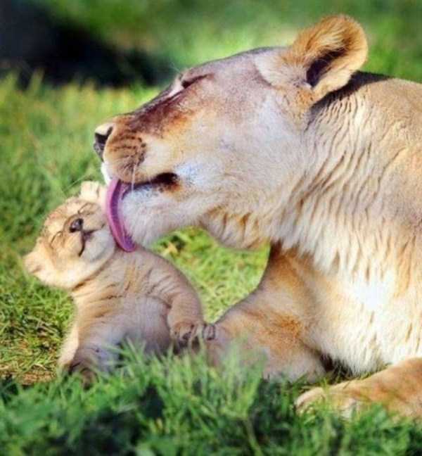 70 Nothing But Awesome Pics (70 photos)