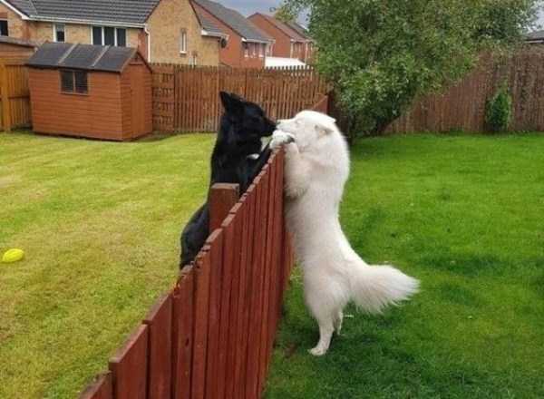 70 Nothing But Awesome Pics (70 photos)