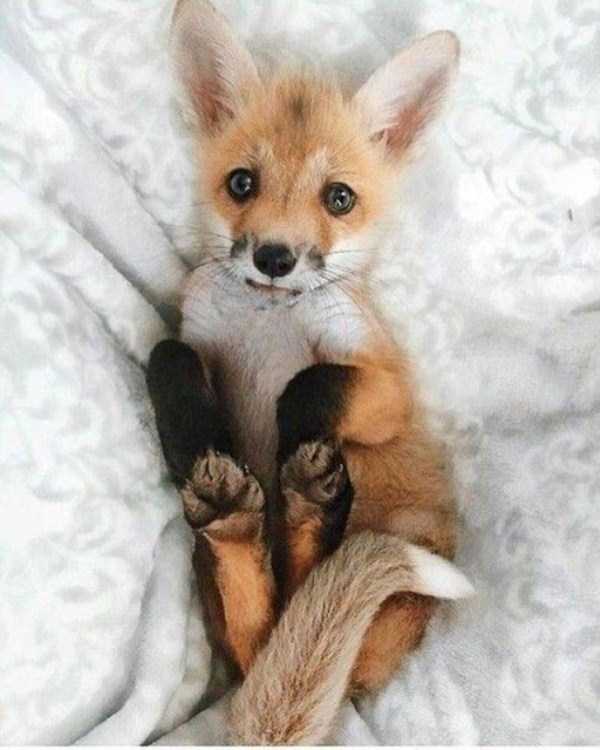 70 Nothing But Awesome Pics (70 photos)