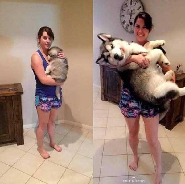 70 Nothing But Awesome Pics (70 photos)