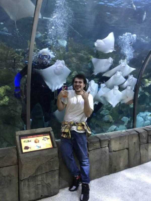 70 Nothing But Awesome Pics (70 photos)