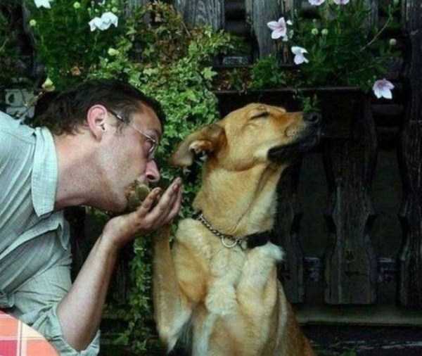 70 Nothing But Awesome Pics (70 photos)