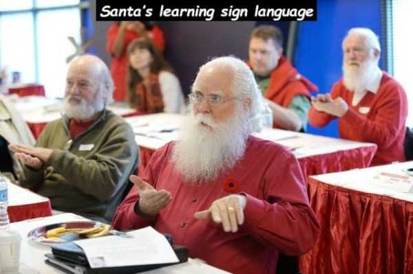 47 Random Pictures With Captions (47 photos)