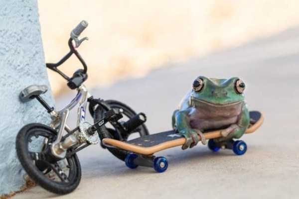 Klyker Picdump (88 photos)