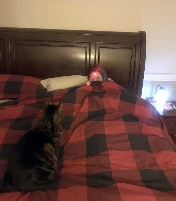 klyker funny picdump 1 3 600x683 Klyker Picdump (93 photos)