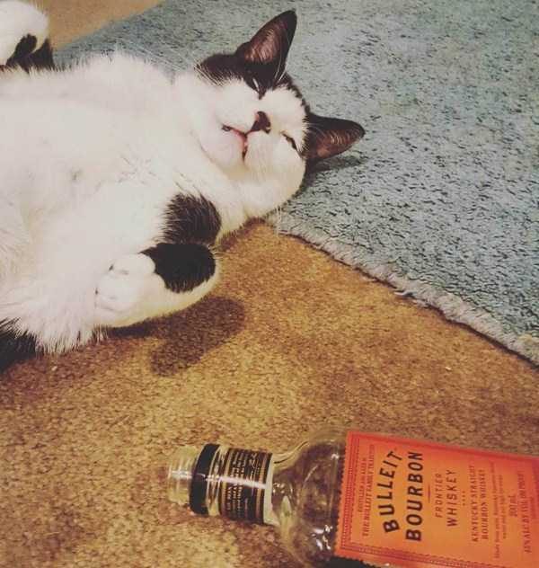 klyker funny picdump 18 3 600x632 Klyker Picdump (93 photos)