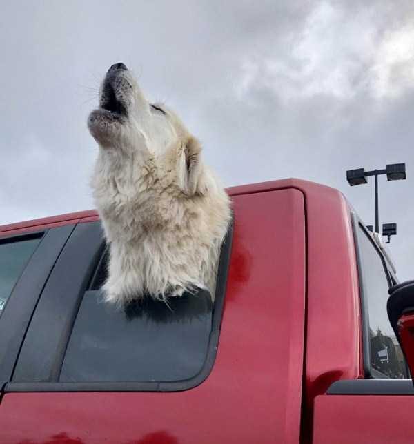 klyker funny picdump 20 3 600x644 Klyker Picdump (93 photos)