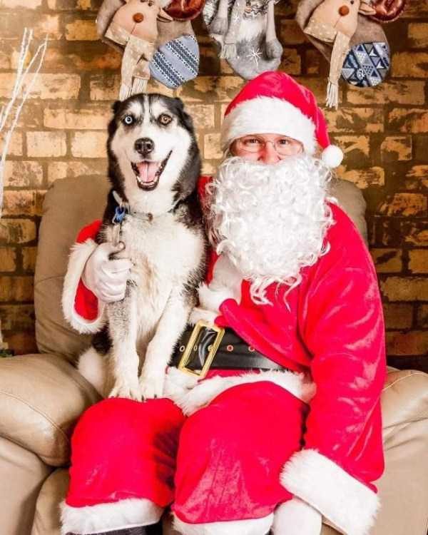 Klyker Picdump (111 photos)