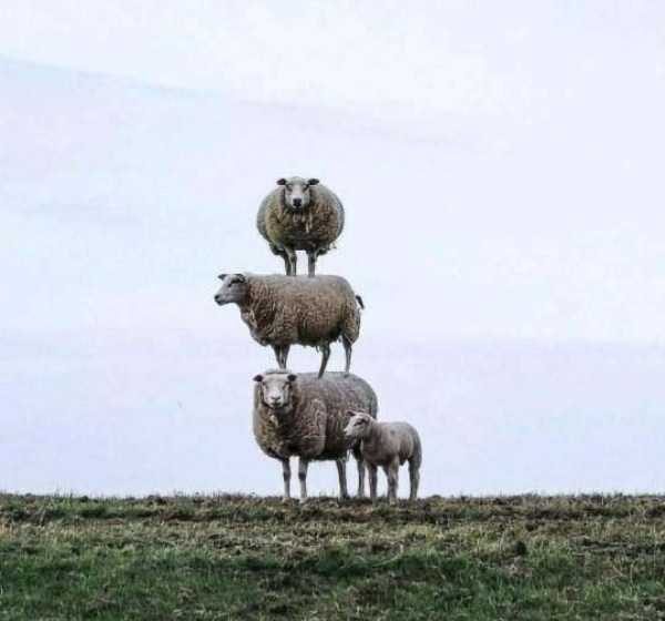 Klyker Picdump (111 photos)