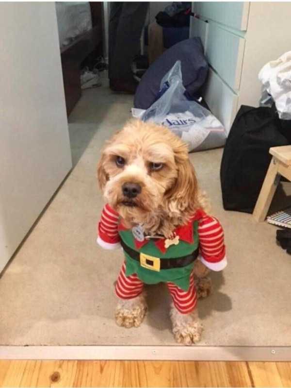 Klyker Picdump (111 photos)