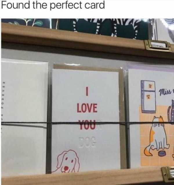 Klyker Picdump (111 photos)