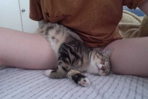 klyker funny picdump 57 2 600x400 Klyker Picdump (93 photos)