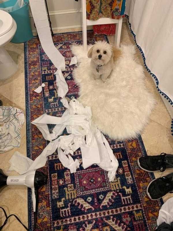 Klyker Picdump (111 photos)