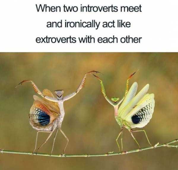 klyker funny picdump 62 2 600x575 Klyker Picdump (93 photos)