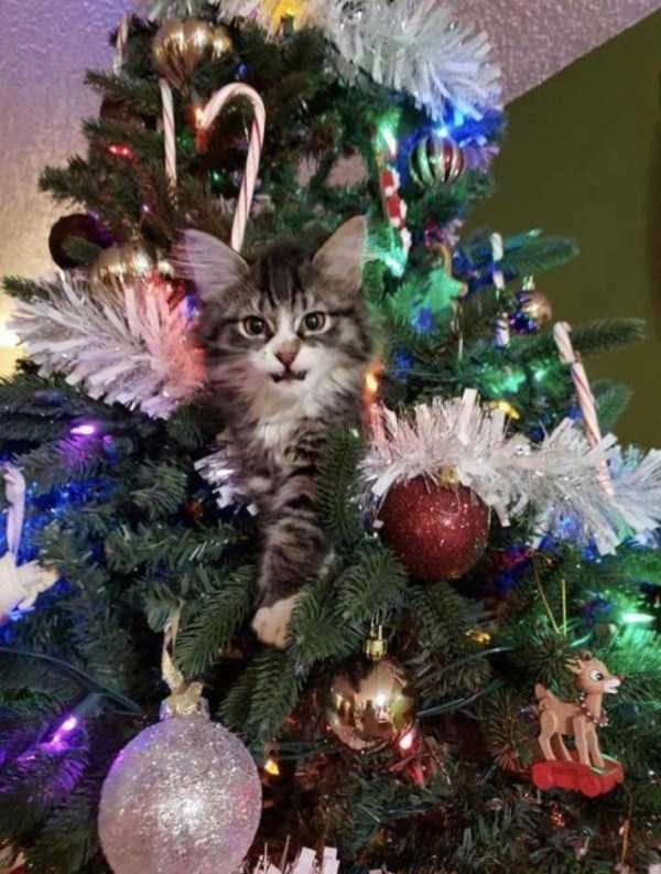 Klyker Picdump (111 photos)