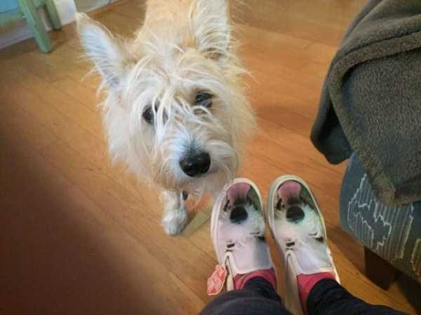 Klyker Picdump (111 photos)