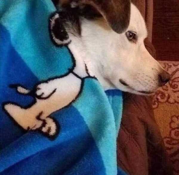 Klyker Picdump (111 photos)