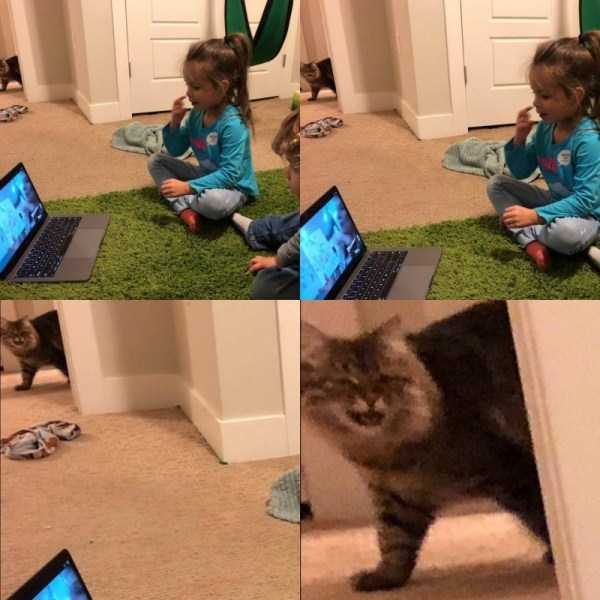 klyker funny picdump 72 1 600x600 Klyker Picdump (93 photos)